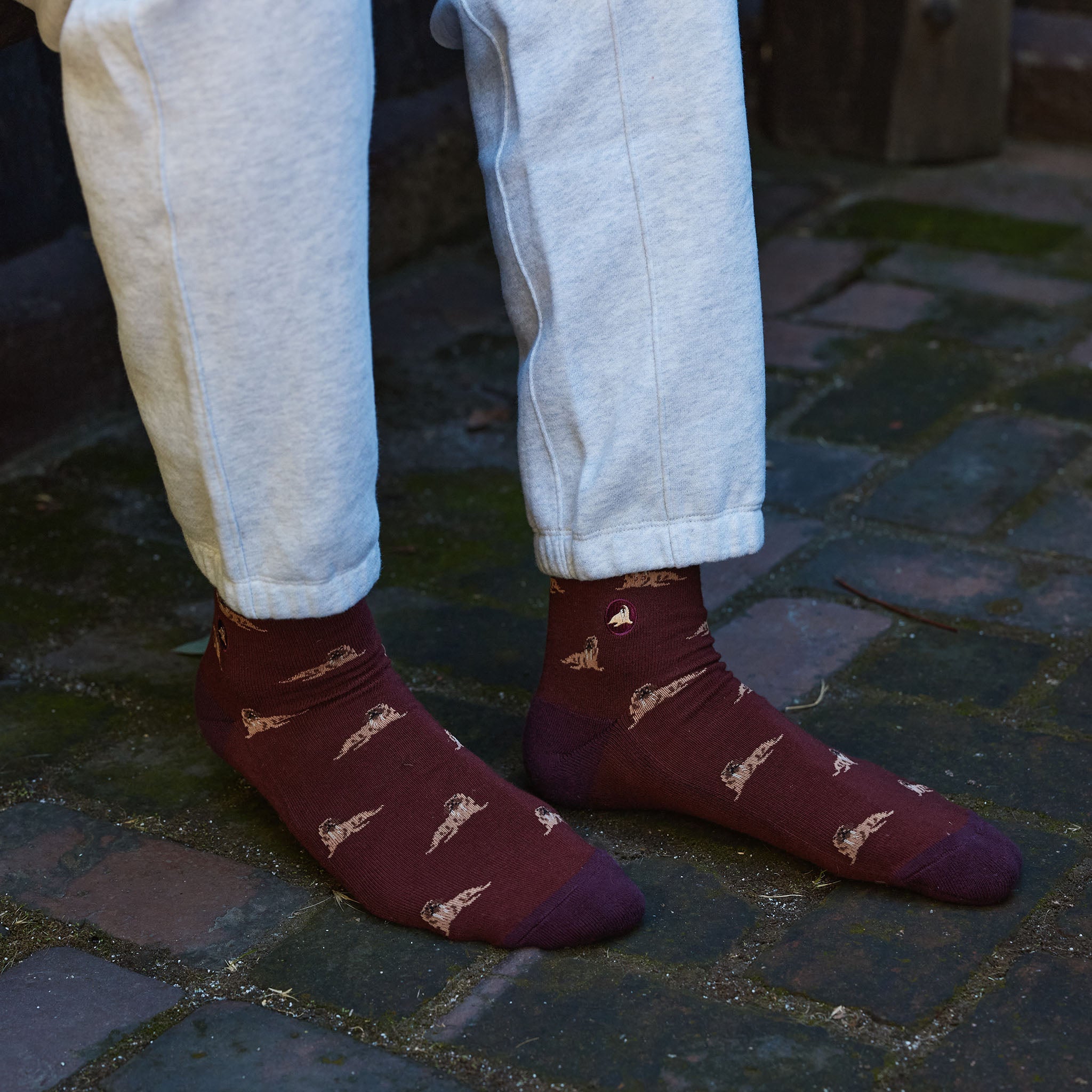 Socks that Protect Walruses